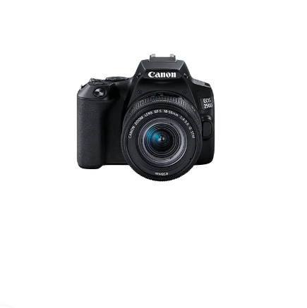 Canon 250D 24MP DSLR Twin Lens Portrait Bundle